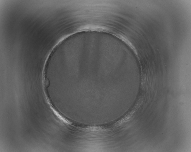 X0000073481037200608140811