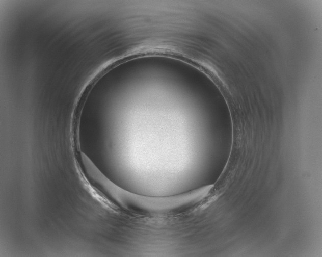 X0000073481038200608140811