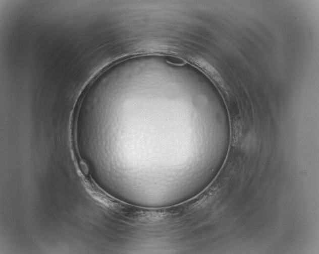 X0000073481039200608140811