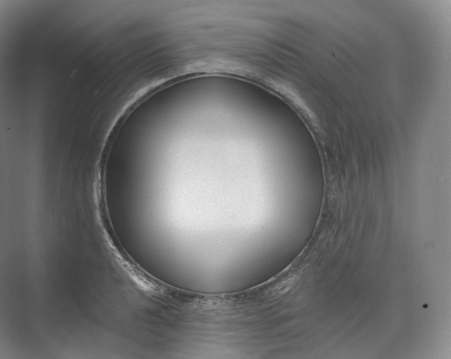 X0000073481040200608140811