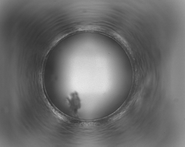 X0000073481041200608140811