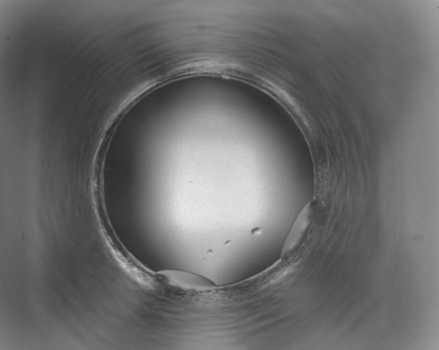 X0000073481042200608140811