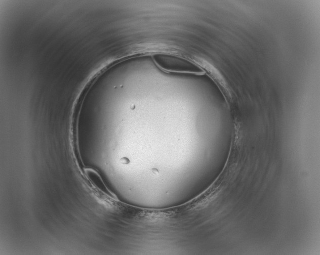 X0000073481043200608140811