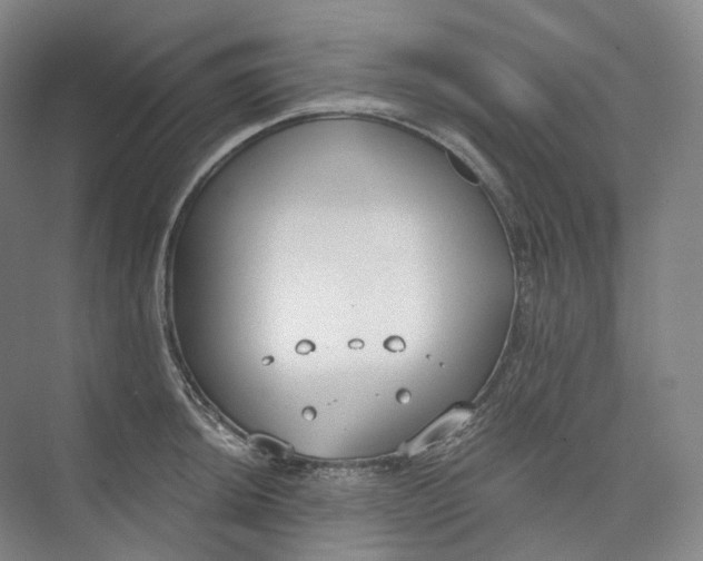 X0000073481044200608140811