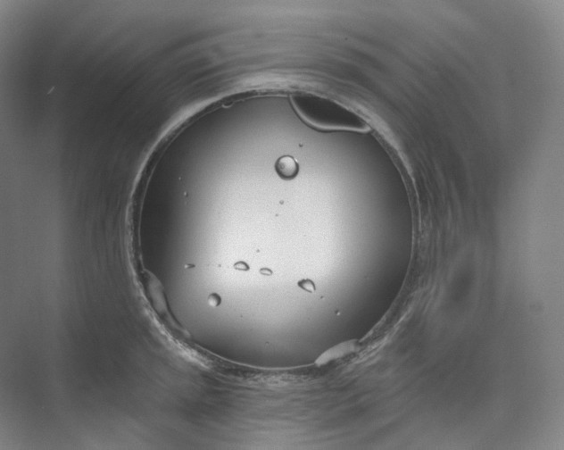 X0000073481045200608140811