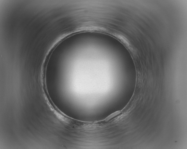 X0000073481046200608140811