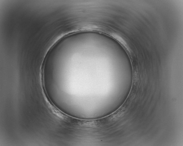 X0000073481047200608140811