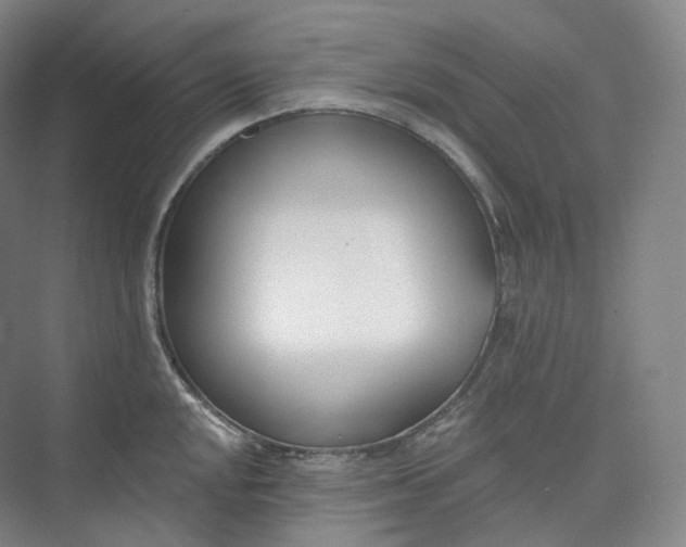 X0000073481048200608140811