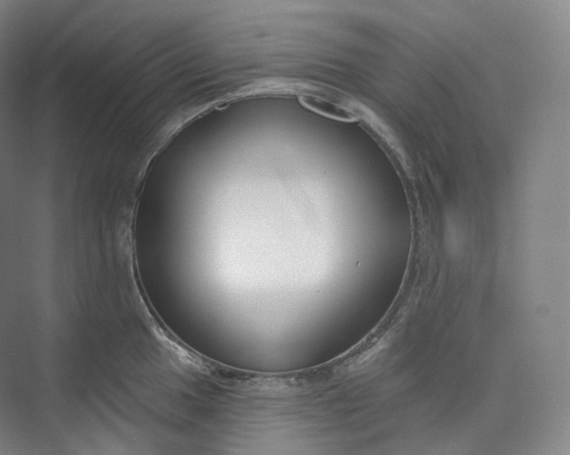 X0000073481049200608140811