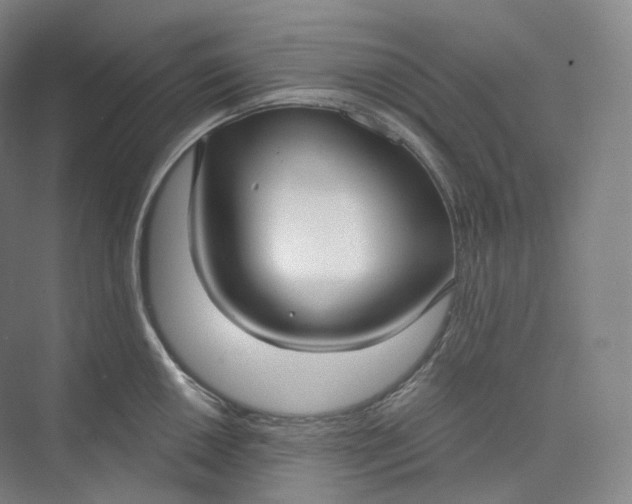 X0000073481050200608140811