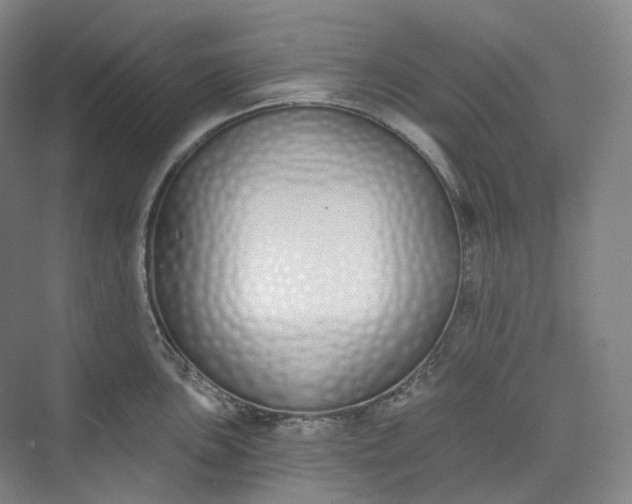 X0000073481051200608140811