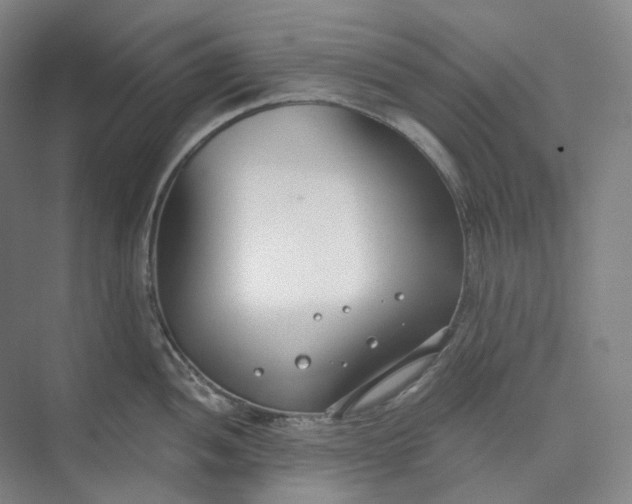 X0000073481052200608140811