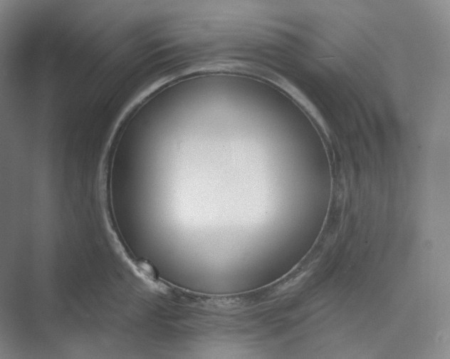 X0000073481053200608140811