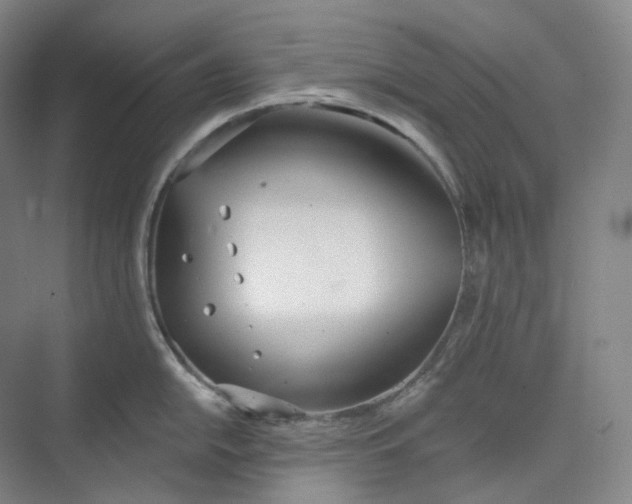 X0000073481054200608140811