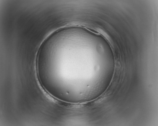 X0000073481055200608140811