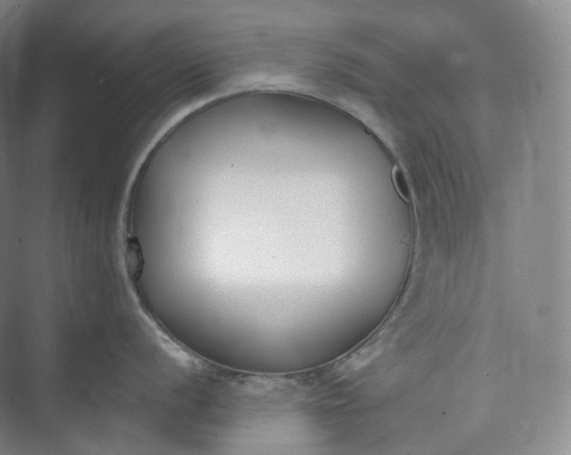 X0000073481056200608140811