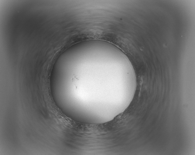 X0000073481057200608140810