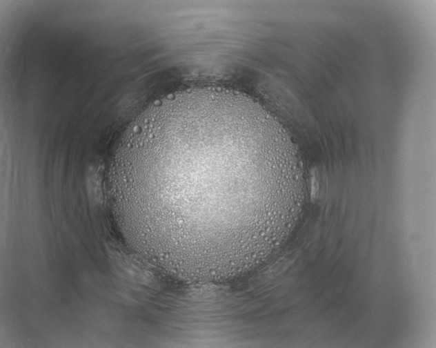 X0000073481059200608140810