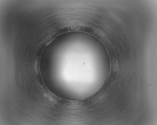 X0000073481060200608140810