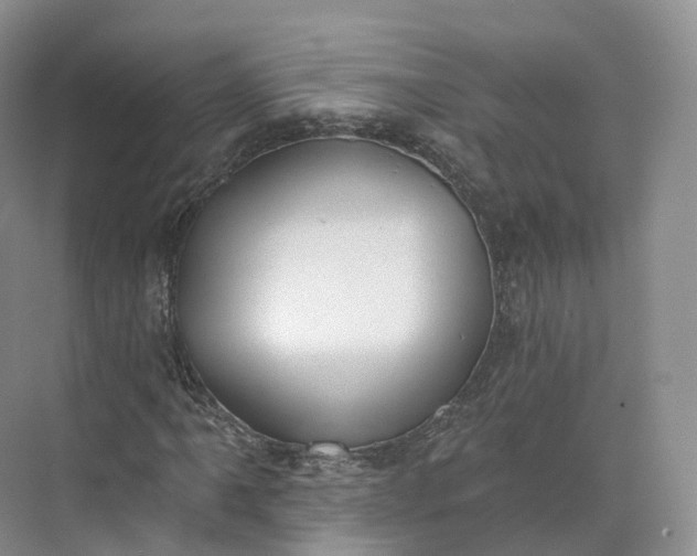 X0000073481061200608140810