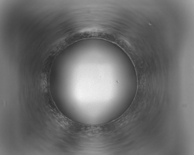 X0000073481062200608140810