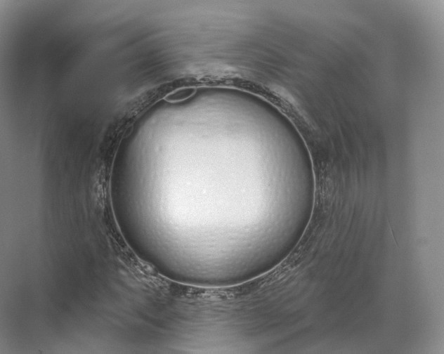 X0000073481063200608140810