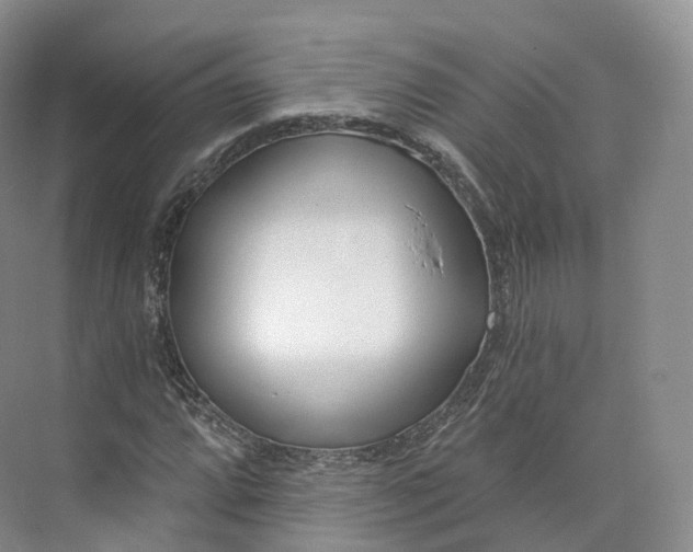 X0000073481064200608140810