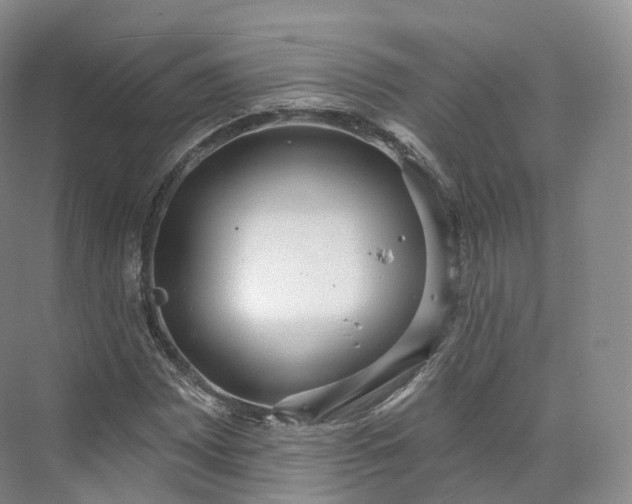 X0000073481065200608140810