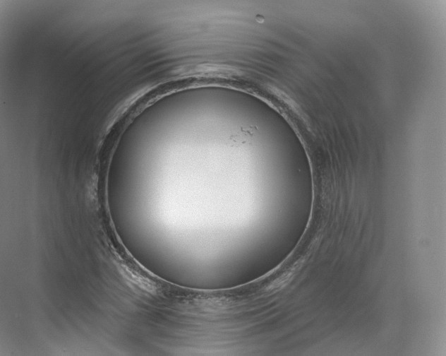 X0000073481066200608140810