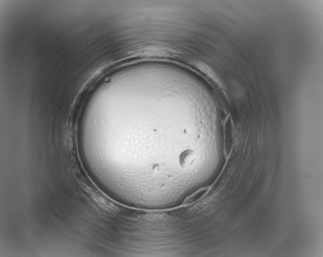 X0000073481067200608140810