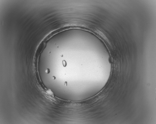 X0000073481068200608140810