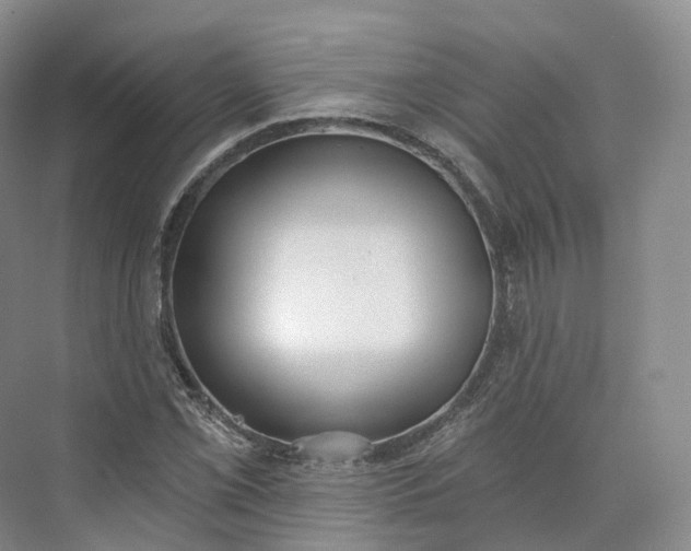 X0000073481069200608140810