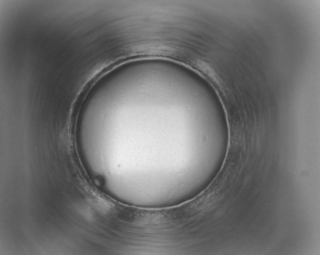 X0000073481071200608140810