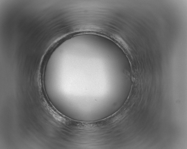 X0000073481072200608140810