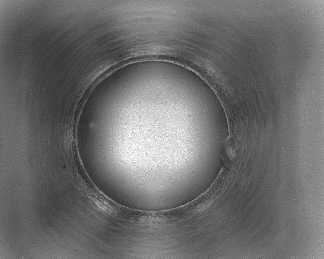 X0000073481073200608140810