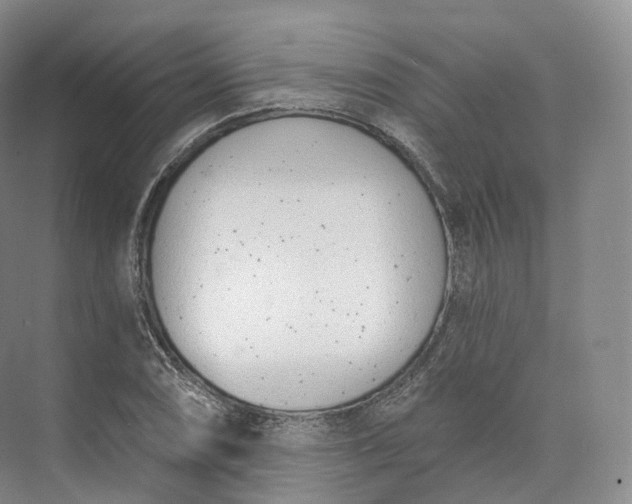 X0000073481074200608140810