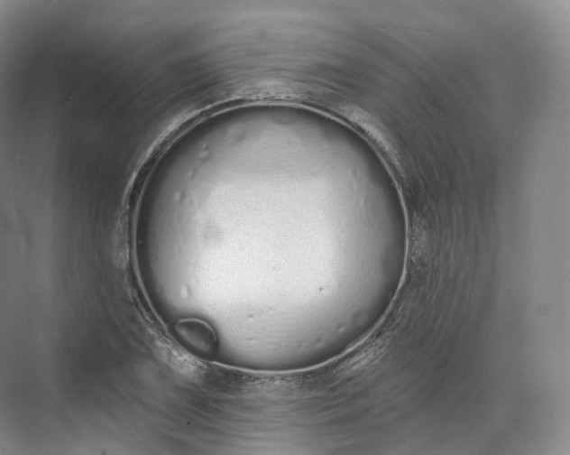 X0000073481075200608140810