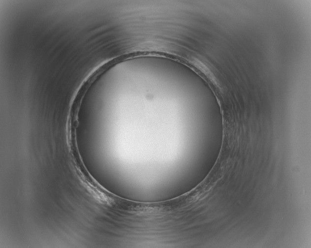 X0000073481076200608140810