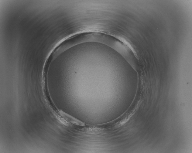 X0000073481077200608140810