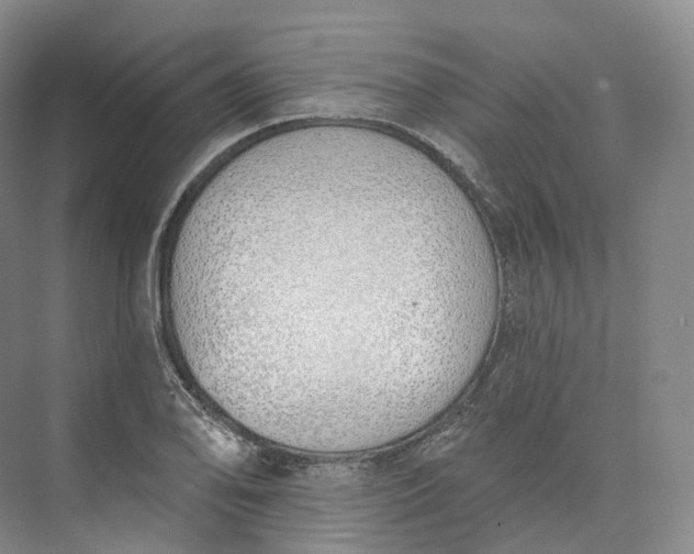 X0000073481078200608140810