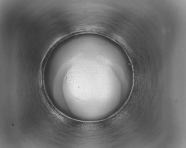 X0000073481079200608140810