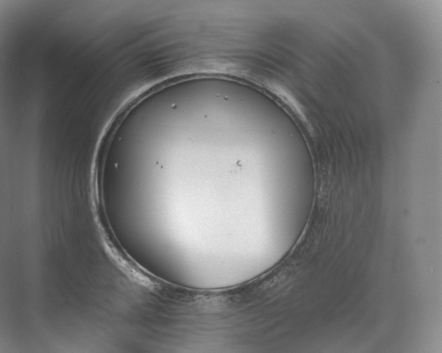 X0000073481080200608140810