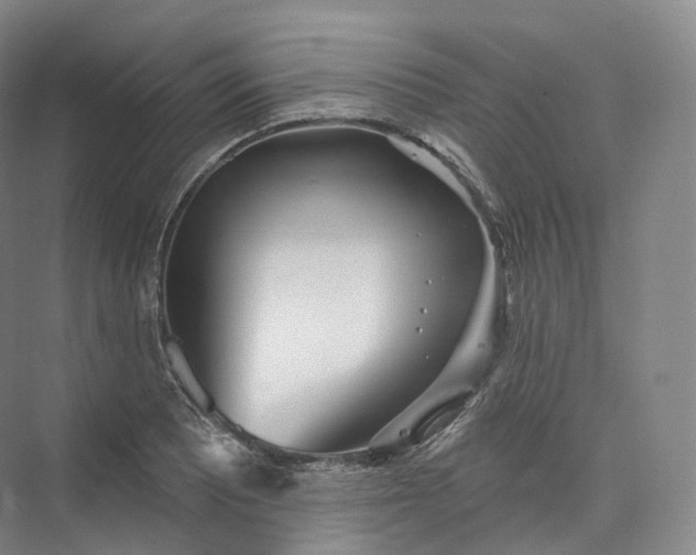 X0000073481081200608140810