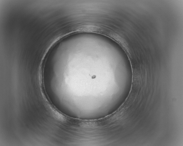 X0000073481083200608140810