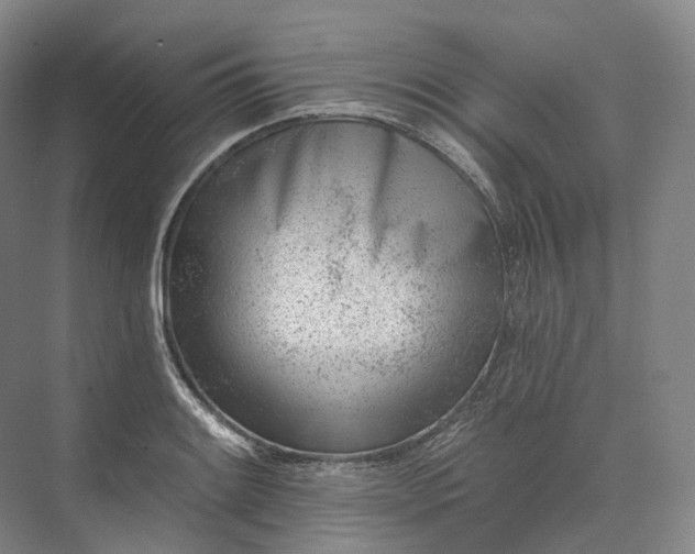 X0000073481084200608140810