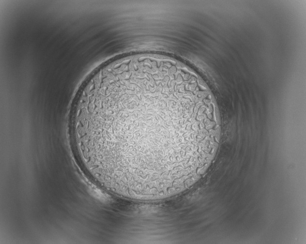 X0000073481086200608140810