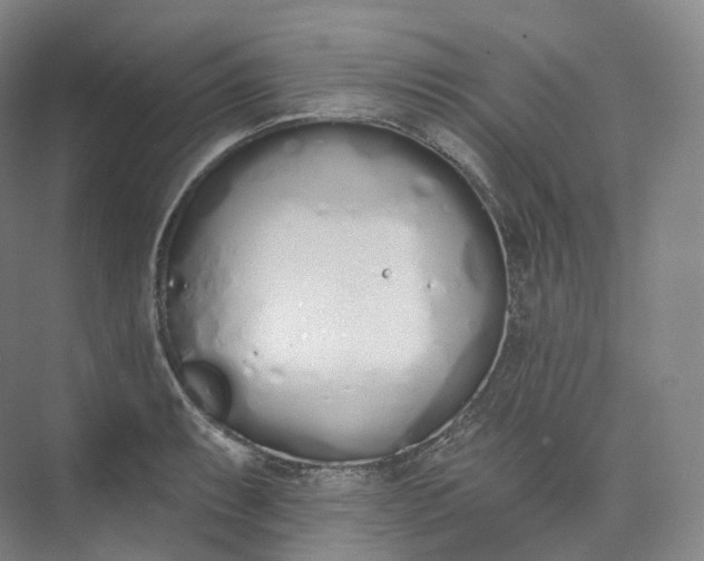 X0000073481087200608140810