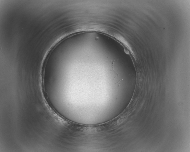 X0000073481088200608140810