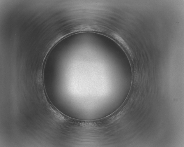 X0000073481089200608140810