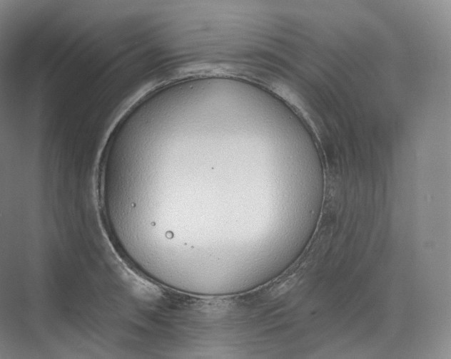 X0000073481090200608140810